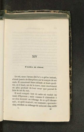 XIV L'ombre de Chicot.