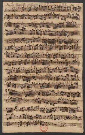 Violino solo