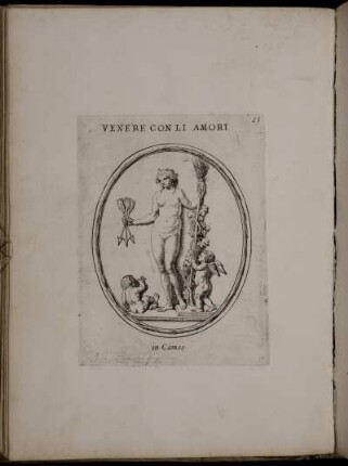 Venere Con Li Amori