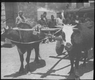 Tscherkenwagen, Station 'amman