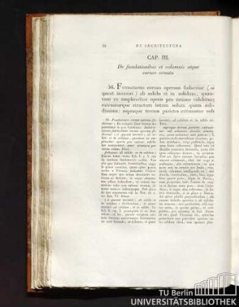 Cap. III. De fundationibus et columnis atque earum ornatu