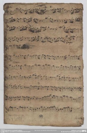 recorder 1
