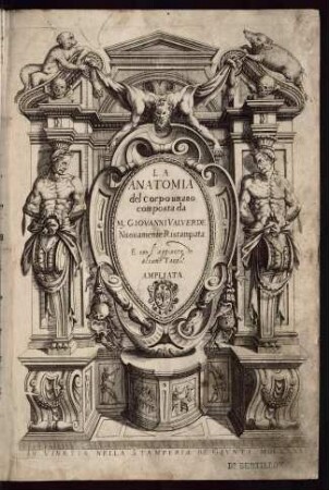 La anatomia del corpo umano