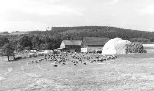 Eibau. Röthemühle, ehem. Windmühlengehöft