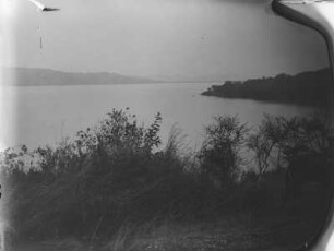Am Lake Burigi : Der Lake Burigi und seine Ufervegetation