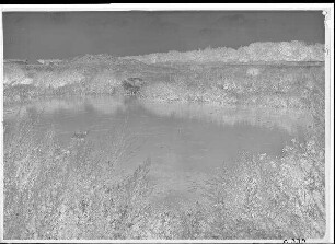 Staustufe Garstadt. Mittleres Buhnenfeld im Unterwasser des alten Mainarmes, rechtes Ufer. Schweinfurter Pegel = 65 cm.