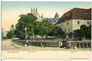 Schulpforta. Alte Linde