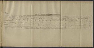 Belastung durch die Unfälle innerhalb der Zweiganstalt während des Jahres 1917.