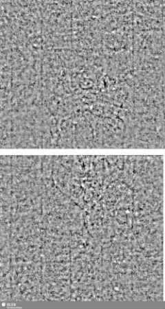 Lilienschild + IESV / LW = S.3/4+7/8