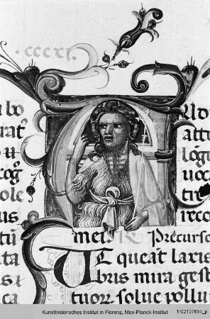 Breviarium : Historisierte Initiale: Johannes der Täufer