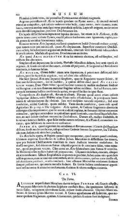 Cap. VI. De Ferro