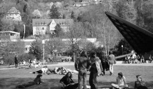 Freiburg: Jugend lagert auf Stadtgartenrasen