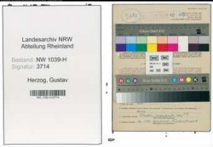 Entnazifizierung Gustav Herzog , geb. 04.09.1899 (Lehrer)