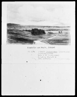 Weites, flaches Vorgelände eines Bergsees mit Waldinsel im Vordergrunde