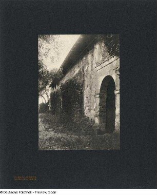 Foto, Del Monte
