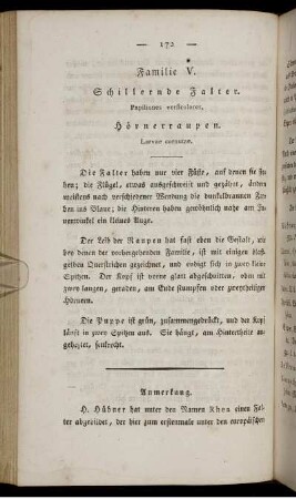 Familie V. Schillernde Falter.