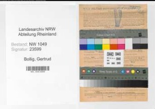 Entnazifizierung Gertrud Bollig , geb. 13.06.1920 (Stenotypistin)