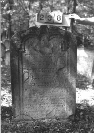 Grabstein 238 (Index: 99609874) Material: Sandstein Zustand: verwittert, zerbrochen, weitgehender Textverlust Maße HxBxT: 98x66x12 cm Beschreibung: Stele, Abschluß Sonderform, Schriftfeld eingetieft, eingezogener dreibogiger Abschluß: Grabstein 238