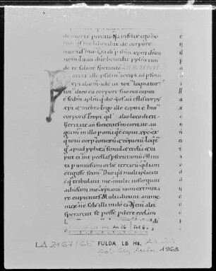 Augustinus, Enarrationes in Psalmos 1-50 — Initiale P, Folio 6 verso