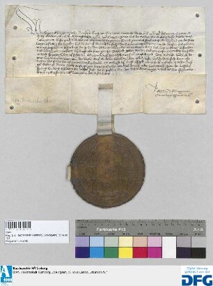 König Sigmund gebietet der Stadt Nürnberg, seinem Rat und Hofmeister dem Grafen Gunther zu Swartzburg und Herrn zu Ranis die gewöhnliche Reichssteuer auszubezahlen und stellt Quittung aus.