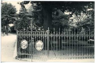 Wittenberg. Luthereiche am Elstertor