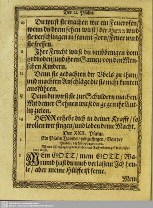 Der XXII. Psalm