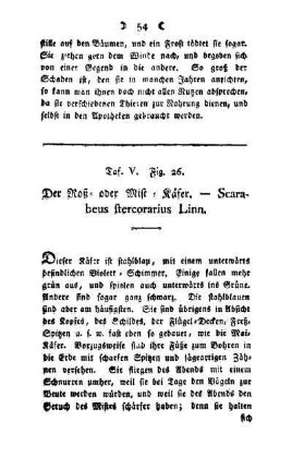 ¬Der¬ Roß- oder Mist-Käfer : Scarabeus stercorarius Linn ; Taf. V, Fig. 26