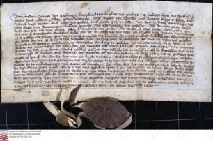 Nidda (Johanniter): Der Johanniterstatthalter in der Wetterau, Konrad v. Ruchkingen und die Niddaer Johanniter Wigand v. Beldersheim, Wenzel, gen....