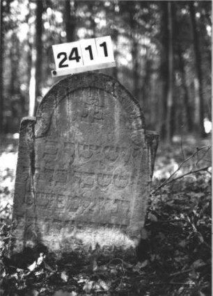 Grabstein 2411