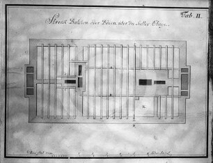 Balkenlage Kellergeschoss vom Herrenhaus Grenzhof