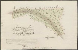 Geometrischer Plan über das im Wollbacher Forst Hauinger Banns liegende Herrschaftliche Buhg-Hölzle