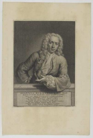 Bildnis des Joannes Burmannus