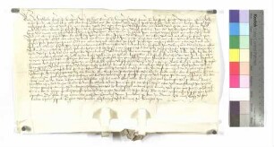 Güterverkauf zu Bihlafingen (Jakob Ungelter)