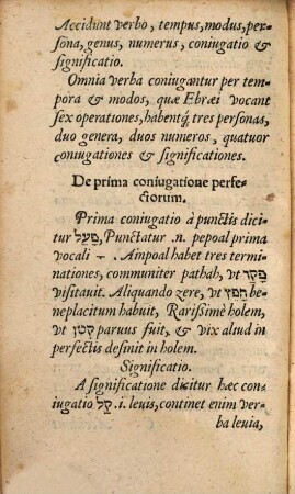 ... Ebraeae Grammatices Dvo Libelli : Avtore Iohanne Avenario Egrano. His Additae Svnt Ad Calcem obseruationes de irregularibus itemq[ue] de dictionibus quae in Biblijs aliter leguntur & aliter schribuntur. [1]