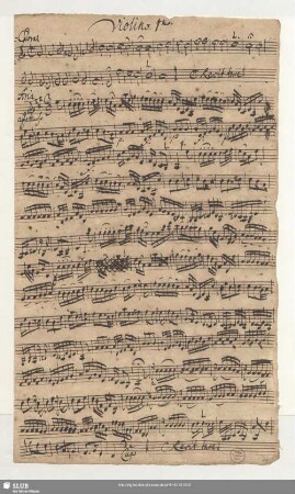 Violino. 1mo.