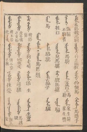 Morin ulha i hacin = 馬匹類