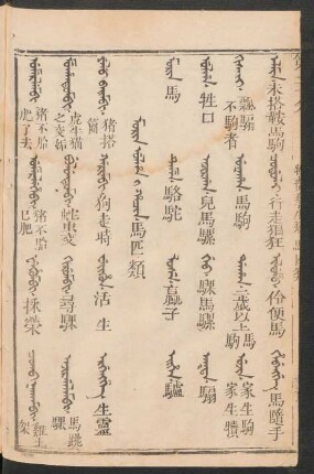 Morin ulha i hacin = 馬匹類