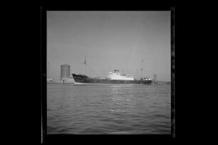 Adler (1950), Argo Reederei.- Argo Reederei Richard Adler & Söhne, Bremen