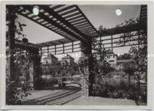 Stettin, Im Rosengarten