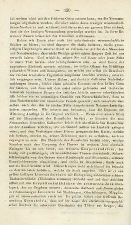 Rechenschaftsbericht von Professor Dr. Kurr