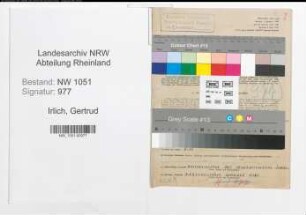 Entnazifizierung Gertrud Irlich , geb. 10.04.1905 ()