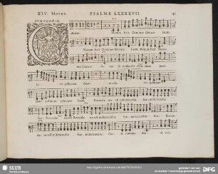 XIV. Cantate Domino canticum novum