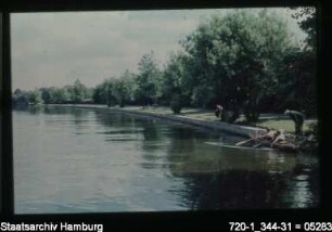 Alster, Uferbefestigung