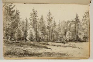 Lichtung vor dichtem Wald