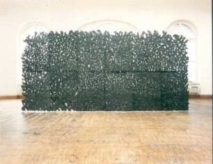 Kleine Hecke : Keller, Heike: Kleine Hecke. Rauminstallation; Papierpulp, Pigment. 2004. Dresden: Hochschule für Bildende Künste Dresden, Ausstellung Diplom 2004 vom 17.7.-29.8.2004. Raumaufnahme