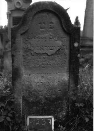 Grabstein 1237 (Index: 100104435) Material: Sandstein Zustand: stark verwittert Maße HxBxT: 130x54x17 cm Beschreibung: Stele mit Konvexbogenabschluss, eingetieftes Schriftfeld: Grabstein 1237