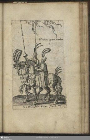 Polonorum Equitum Signifere