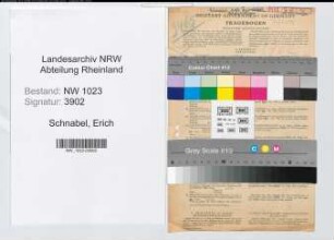 Entnazifizierung Erich Schnabel , geb. 11.02.1893 (Geschaeftsleiter)