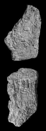 La Florida, Stela 14 (FLD: St. 14)