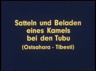Satteln und Beladen eines Kamels bei den Tubu (Ostsahara, Tibesti)
